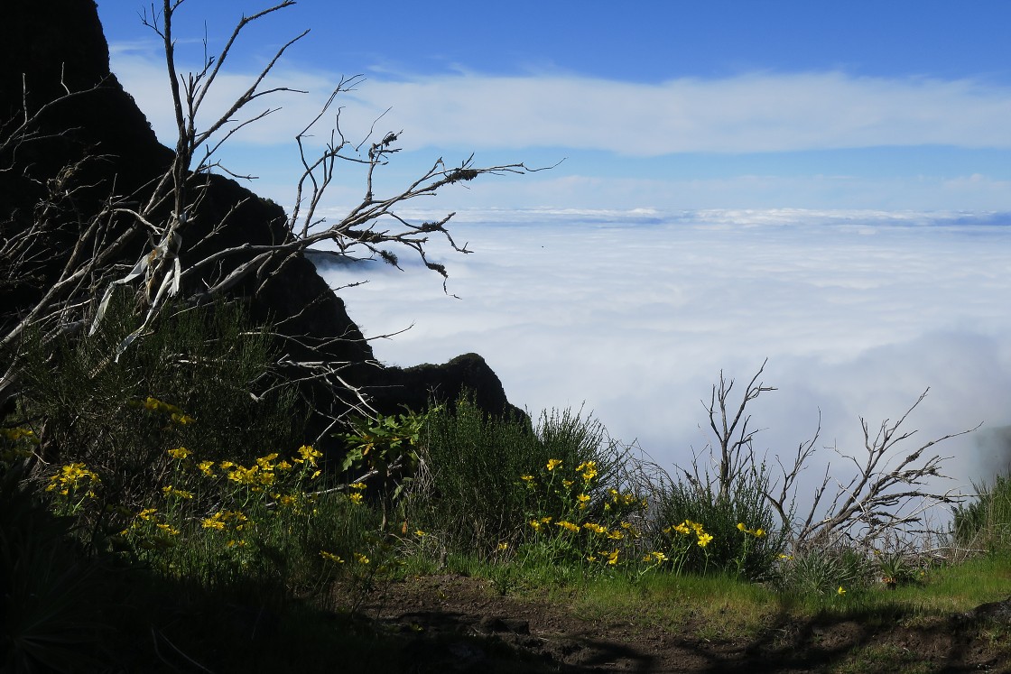 Madeira 2019