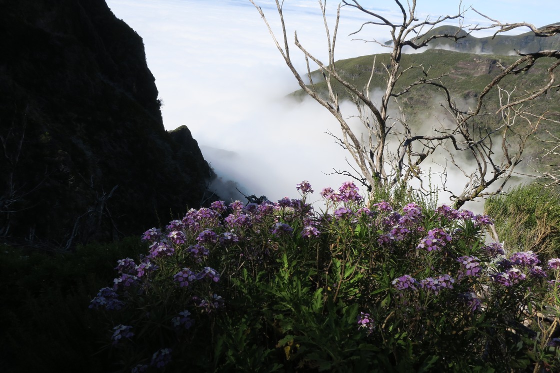 Madeira 2019