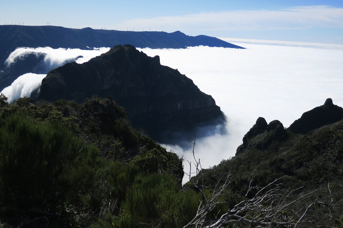 Madeira 2019