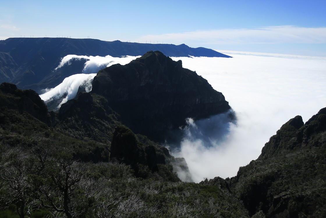 Madeira 2019