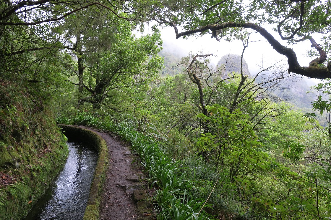 Madeira 2019