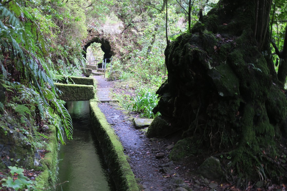 Madeira 2019