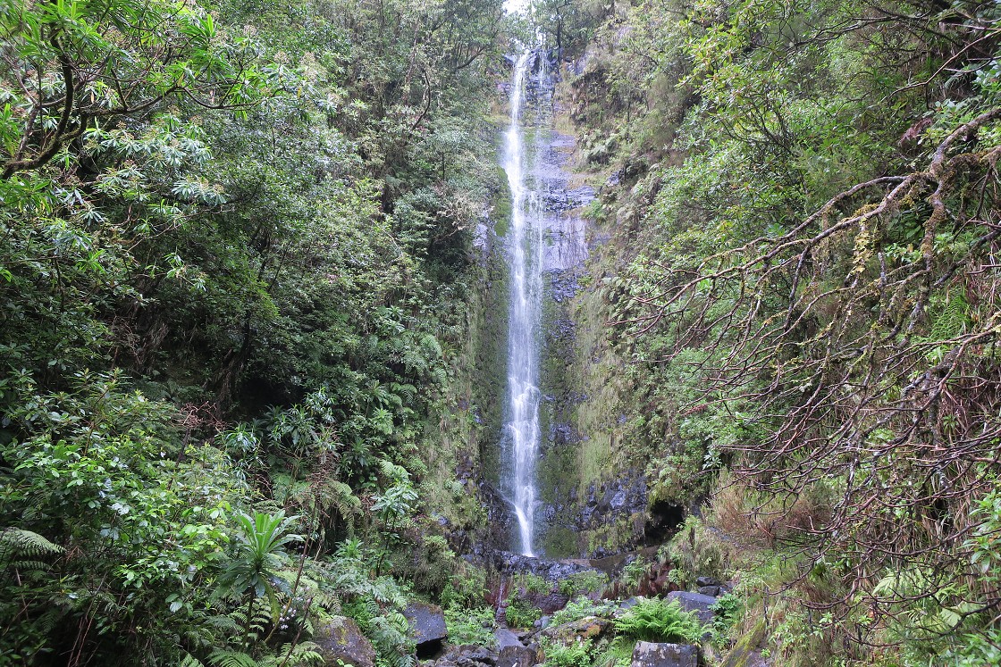 Madeira 2019