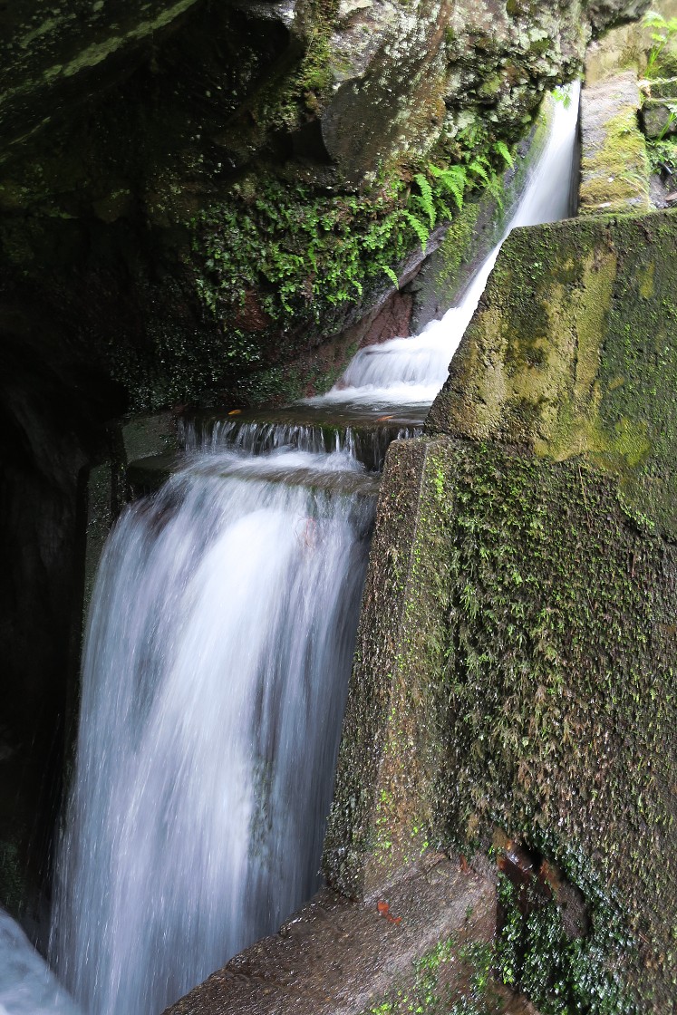 Madeira 2019