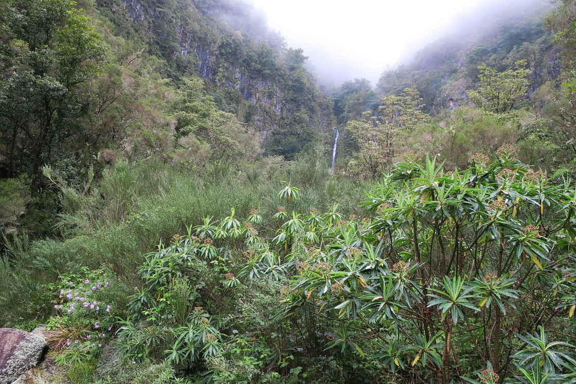 Madeira 2019