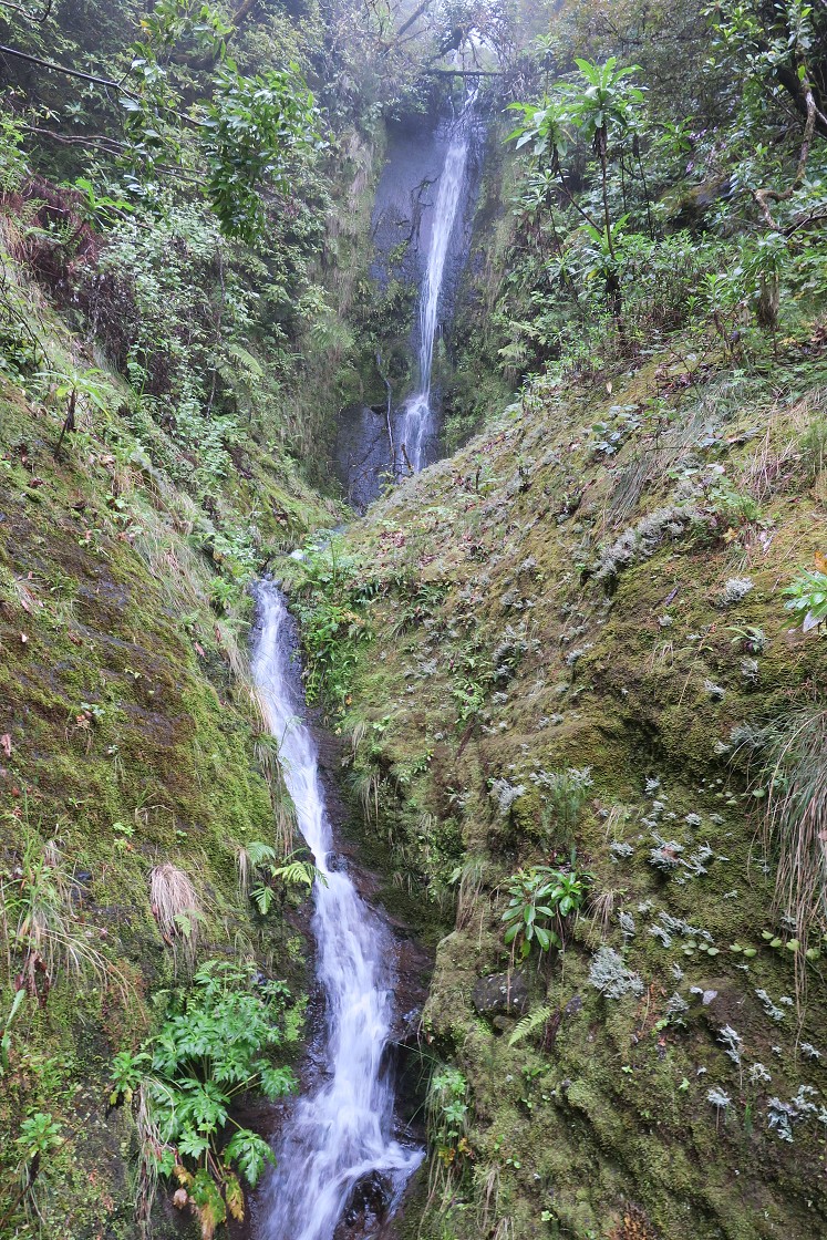 Madeira 2019