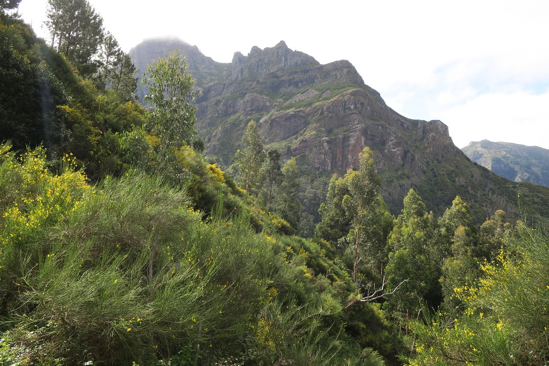 Madeira 2019