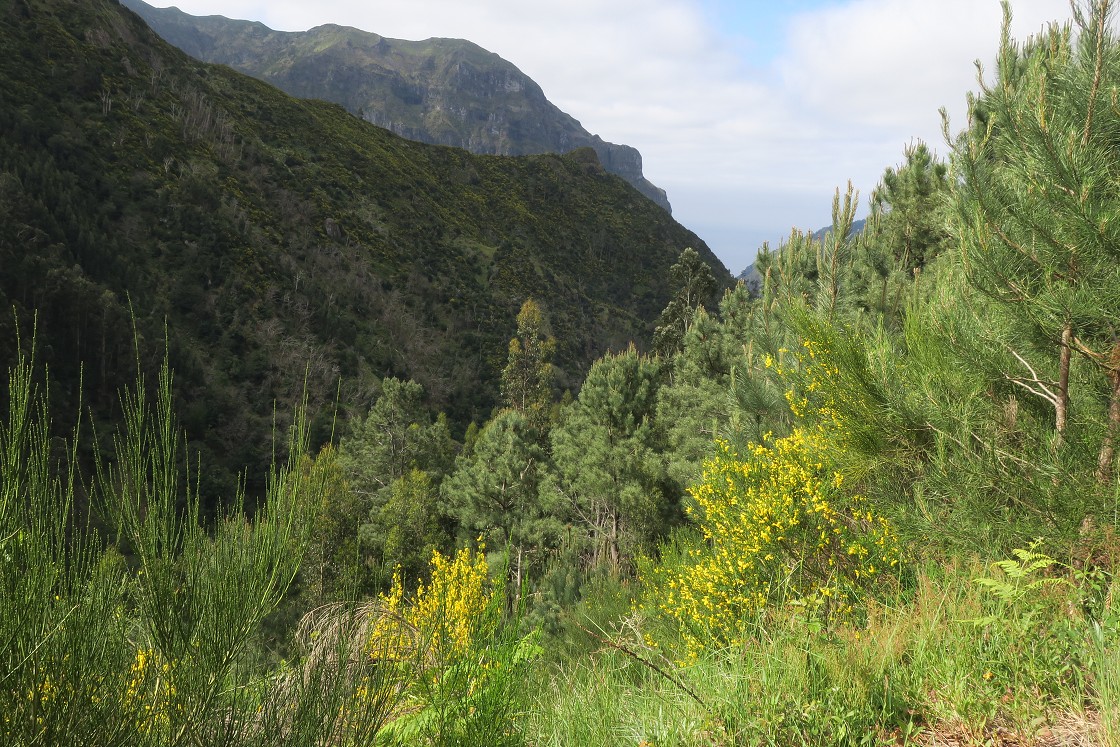 Madeira 2019