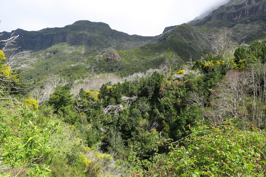 Madeira 2019