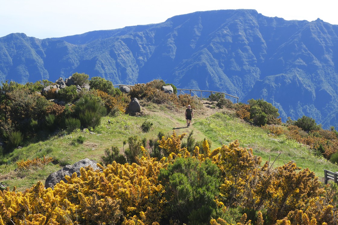 Madeira 2019