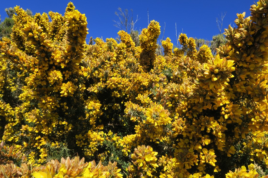 Madeira 2019