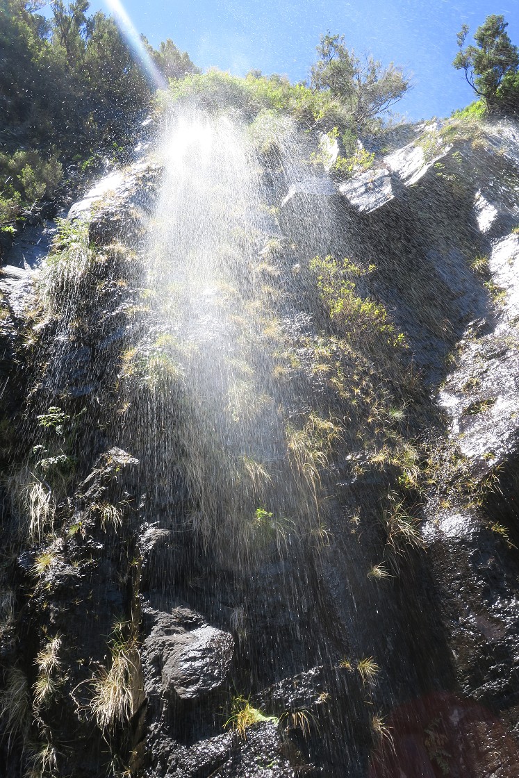 Madeira 2019