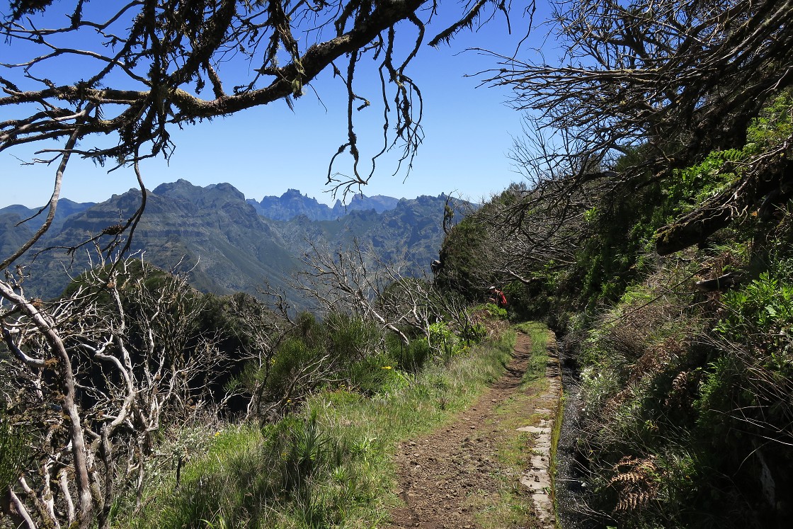 Madeira 2019