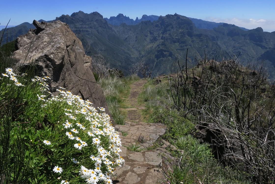 Madeira 2019