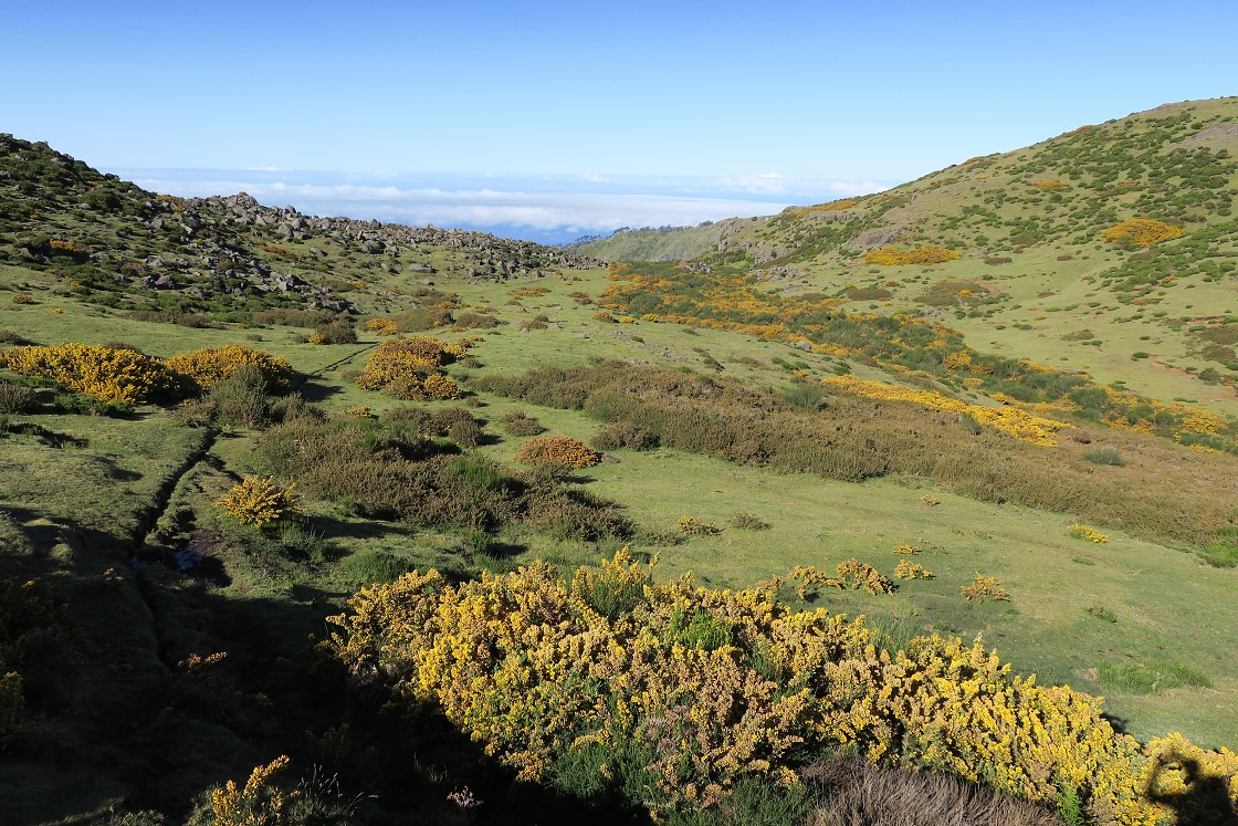 Madeira 2019