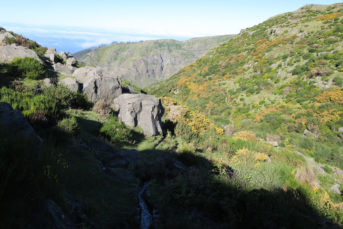 Madeira 2019