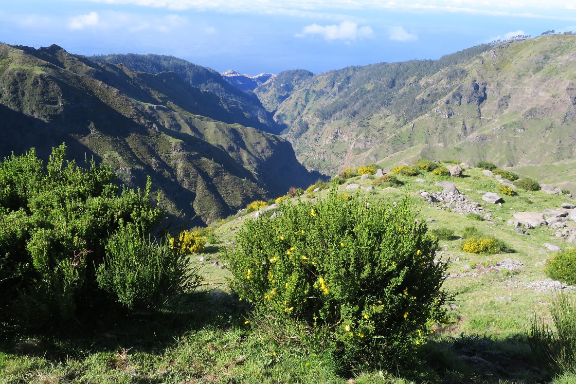 Madeira 2019