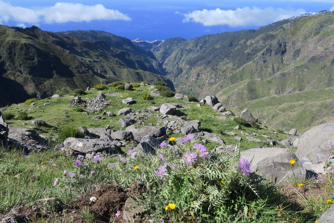 Madeira 2019