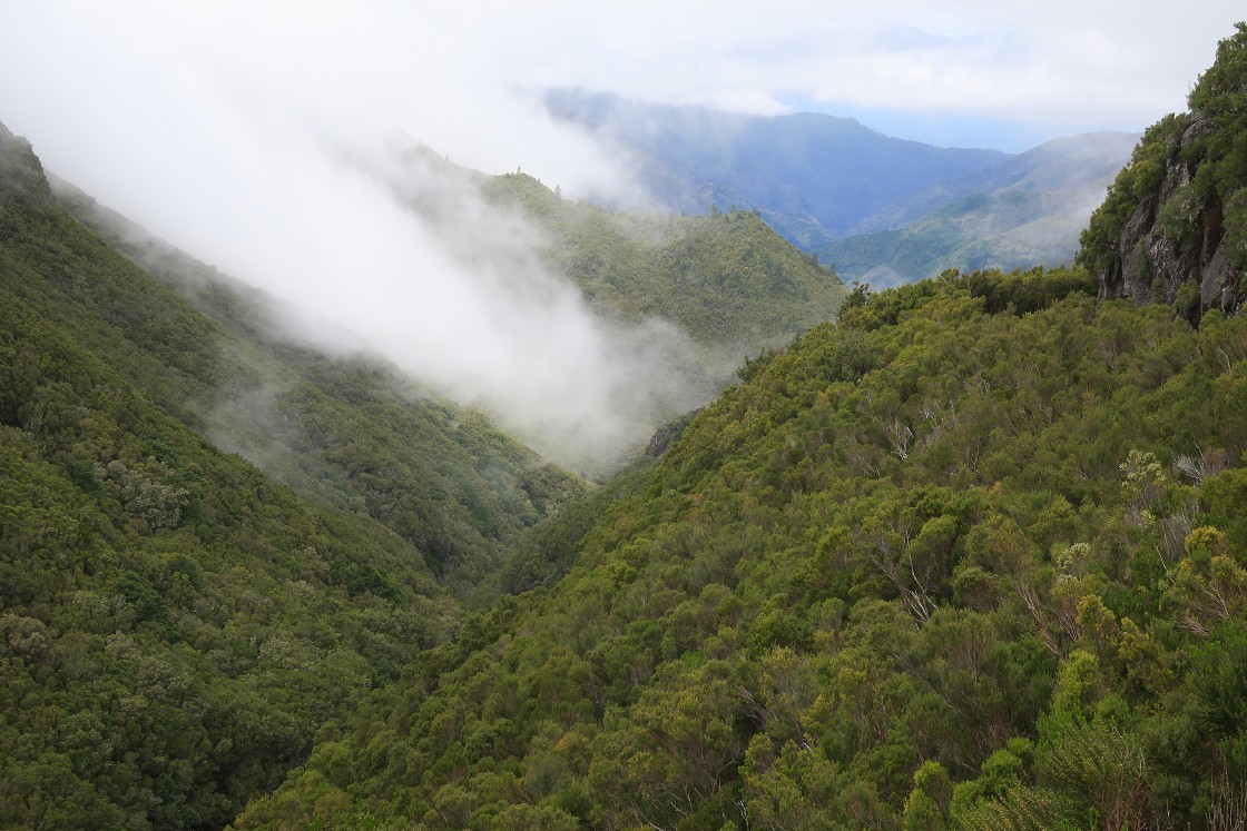 Madeira 2019