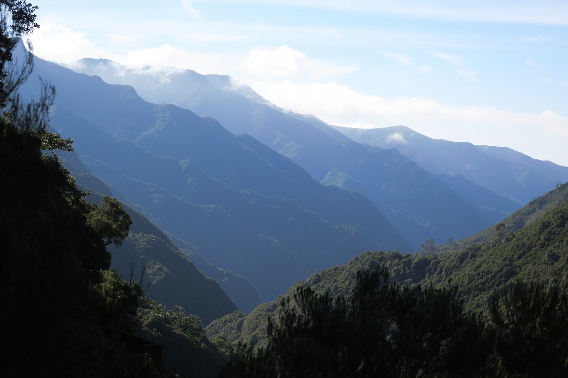 Madeira 2019