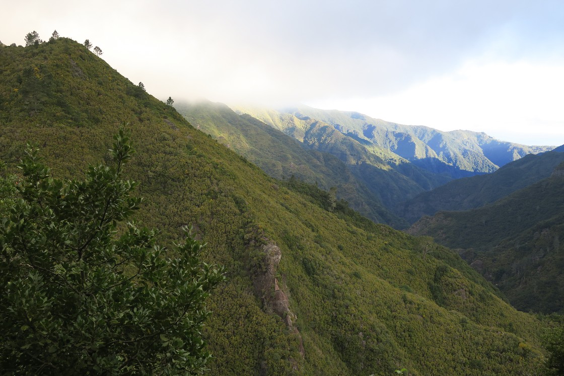 Madeira 2019