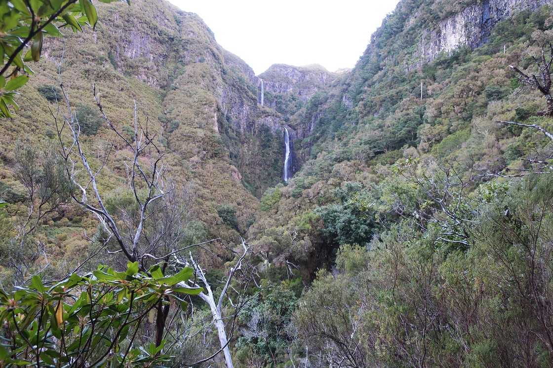 Madeira 2019