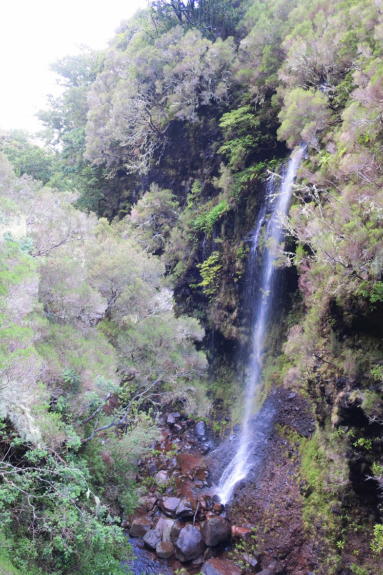 Madeira 2019