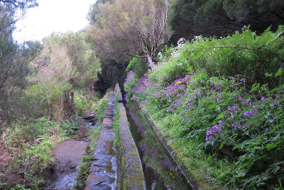 Madeira 2019