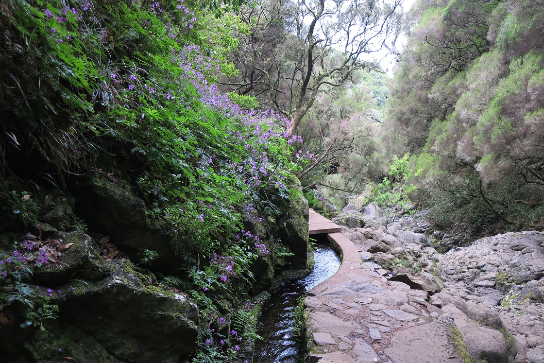 Madeira 2019