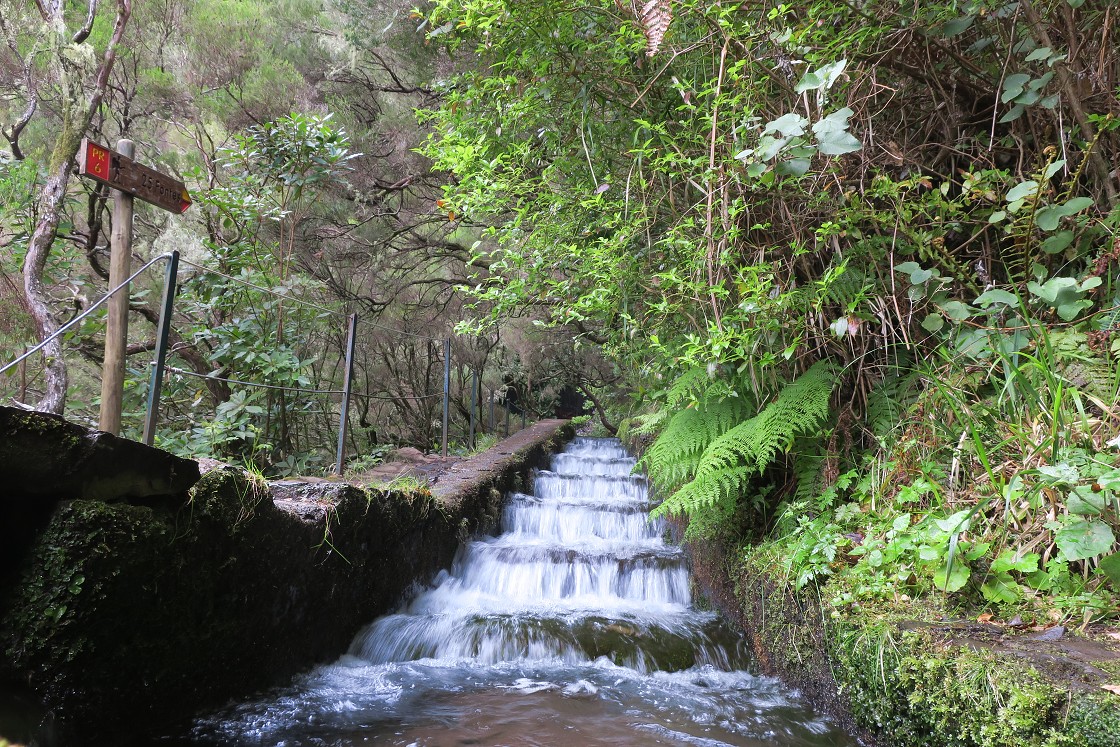 Madeira 2019