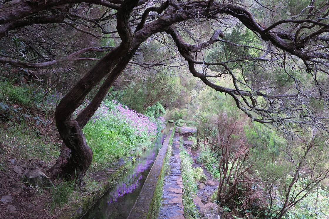 Madeira 2019