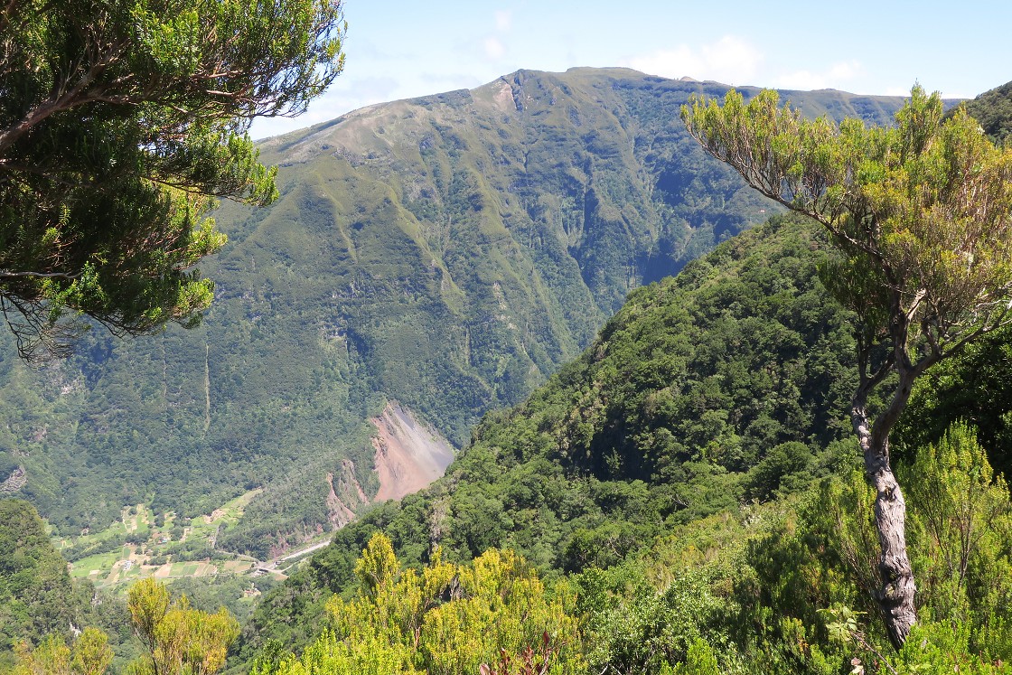 Madeira 2019