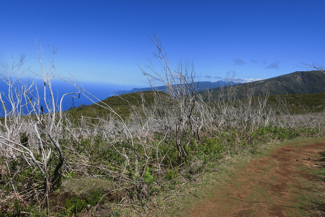 Madeira 2019