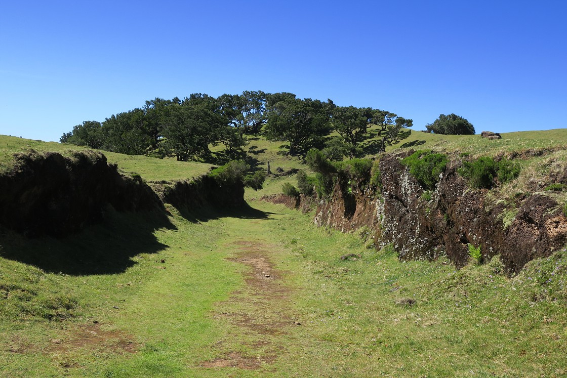 Madeira 2019