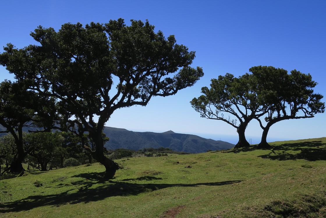 Madeira 2019