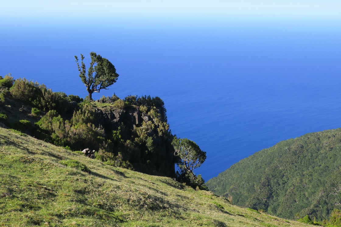 Madeira 2019