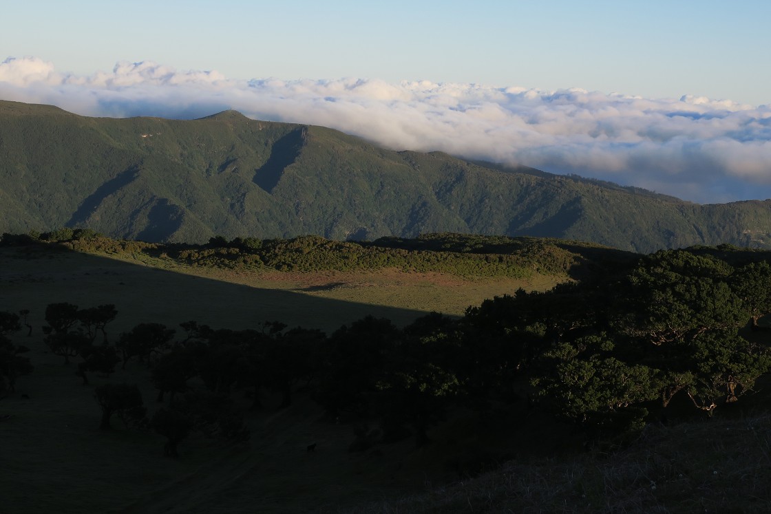 Madeira 2019