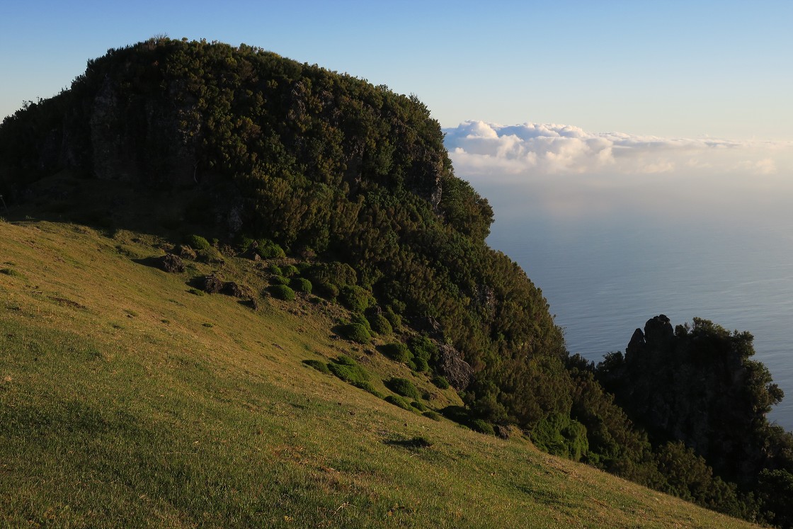 Madeira 2019