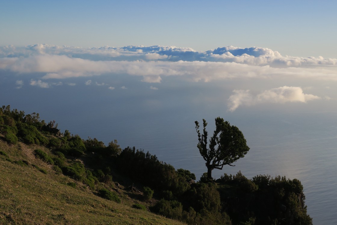 Madeira 2019