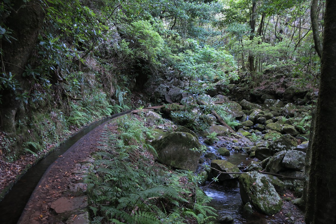 Madeira 2019