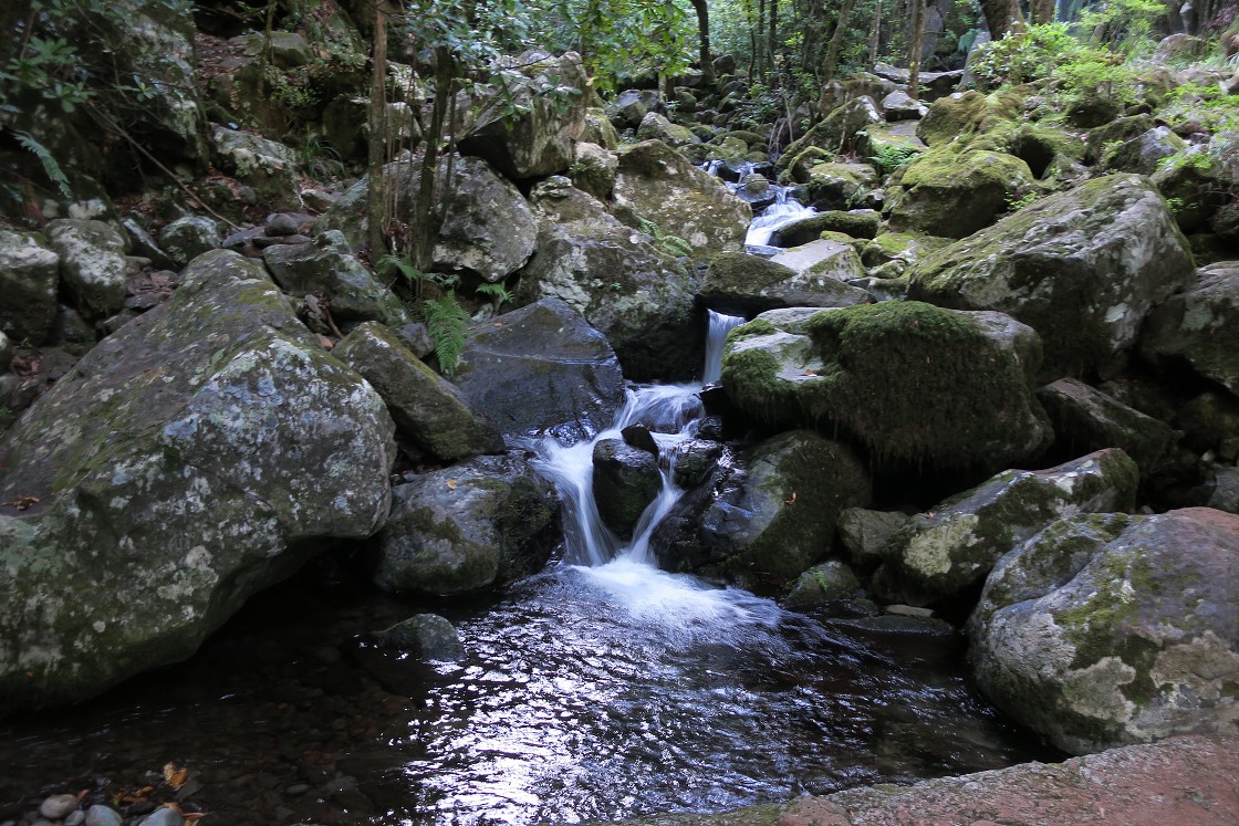 Madeira 2019