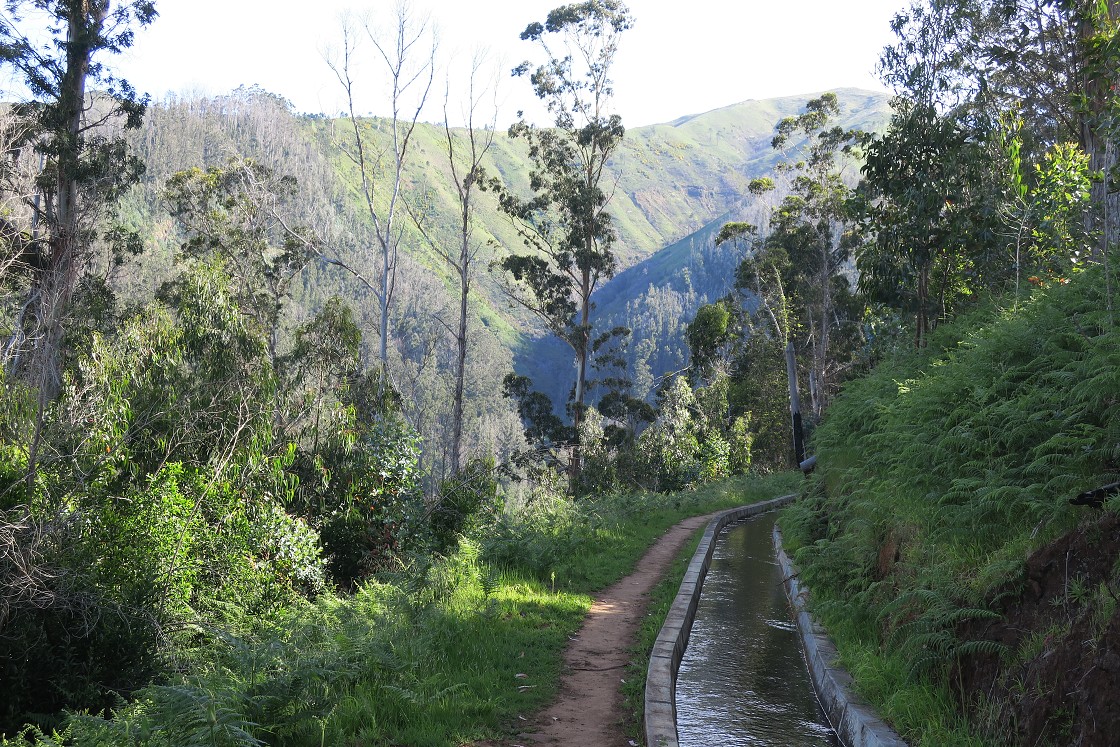 Madeira 2019