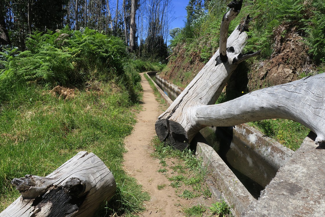 Madeira 2019