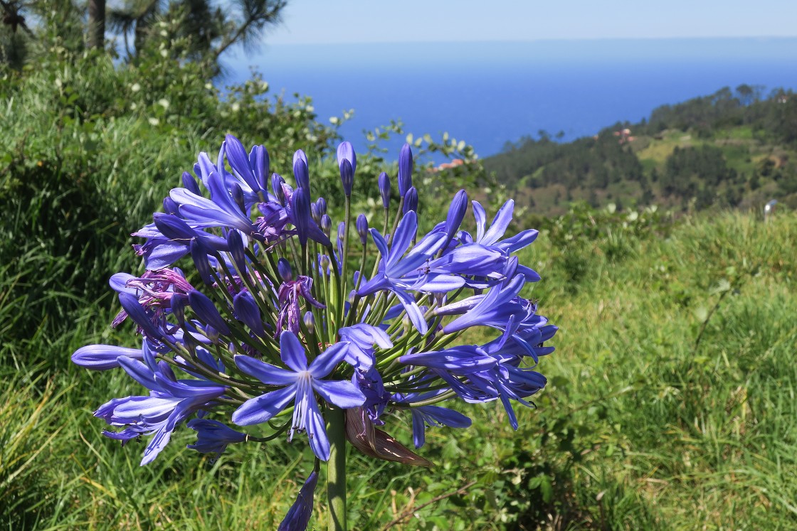 Madeira 2019