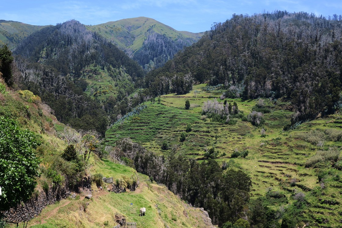 Madeira 2019