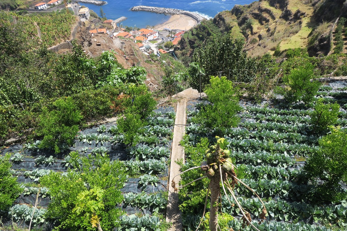 Madeira 2019