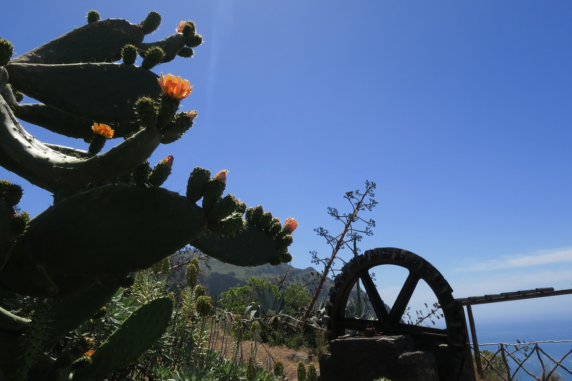 Madeira 2019