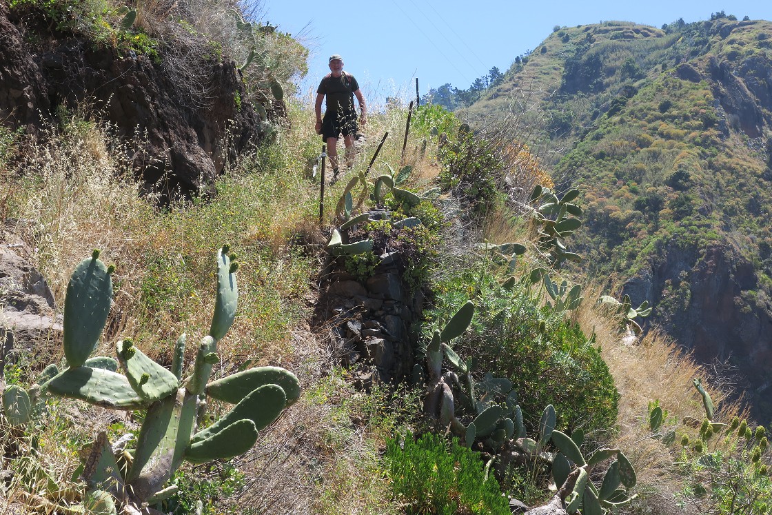 Madeira 2019