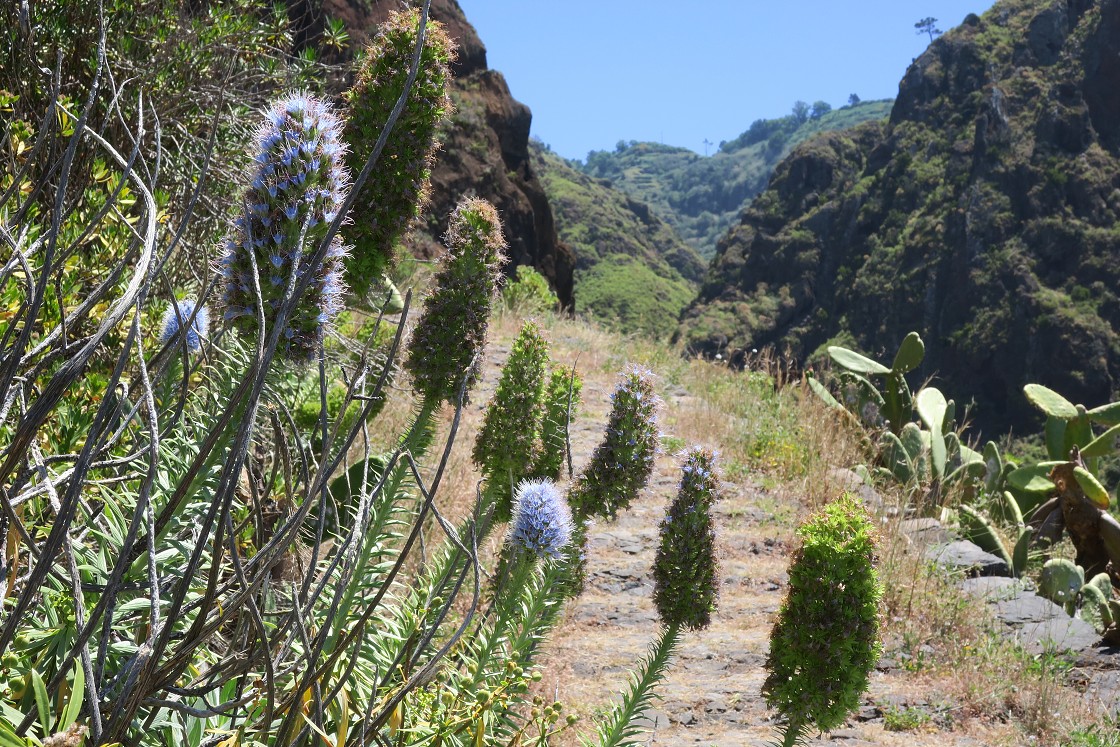 Madeira 2019