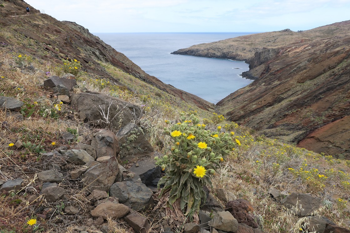 Madeira 2019